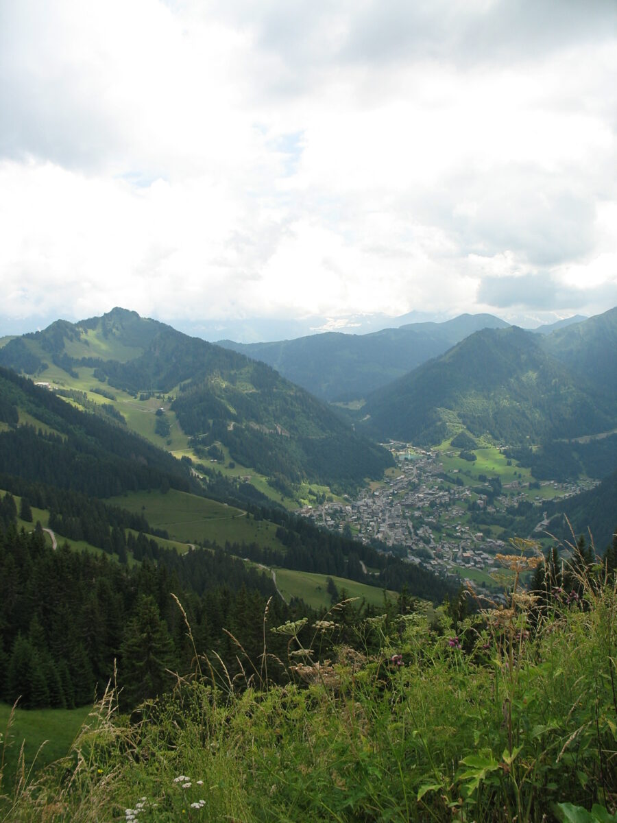 telephone-urgence-pexels-cottonbro-studio-6034771